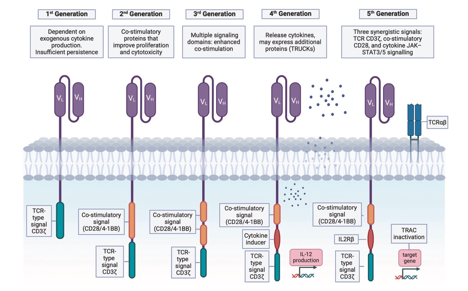 Structure of CAR-T cell therapy generations, showing evolution from first-generation CARs with CD3ζ signaling to fifth-generation CARs with co-stimulatory domains, cytokine inducers, and JAK-STAT signaling.