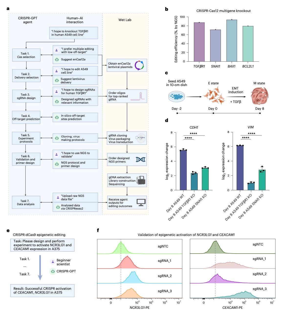 Workflow diagrams, bar charts, and flow cytometry plots showing CRISPR-GPT guiding gene editing and activation in human cell lines, with validation through qPCR and flow analysis.
