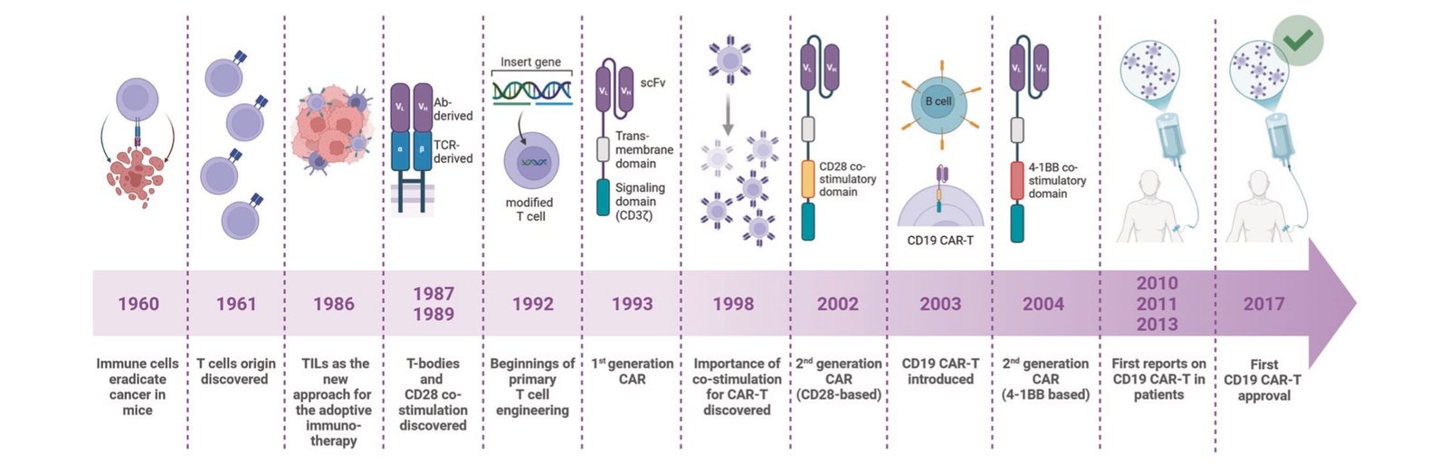 Timeline of CAR-T cell therapy milestones from 1960 to 2017, showing key discoveries from immune cell cancer eradication in mice to the first CD19 CAR-T approval.
